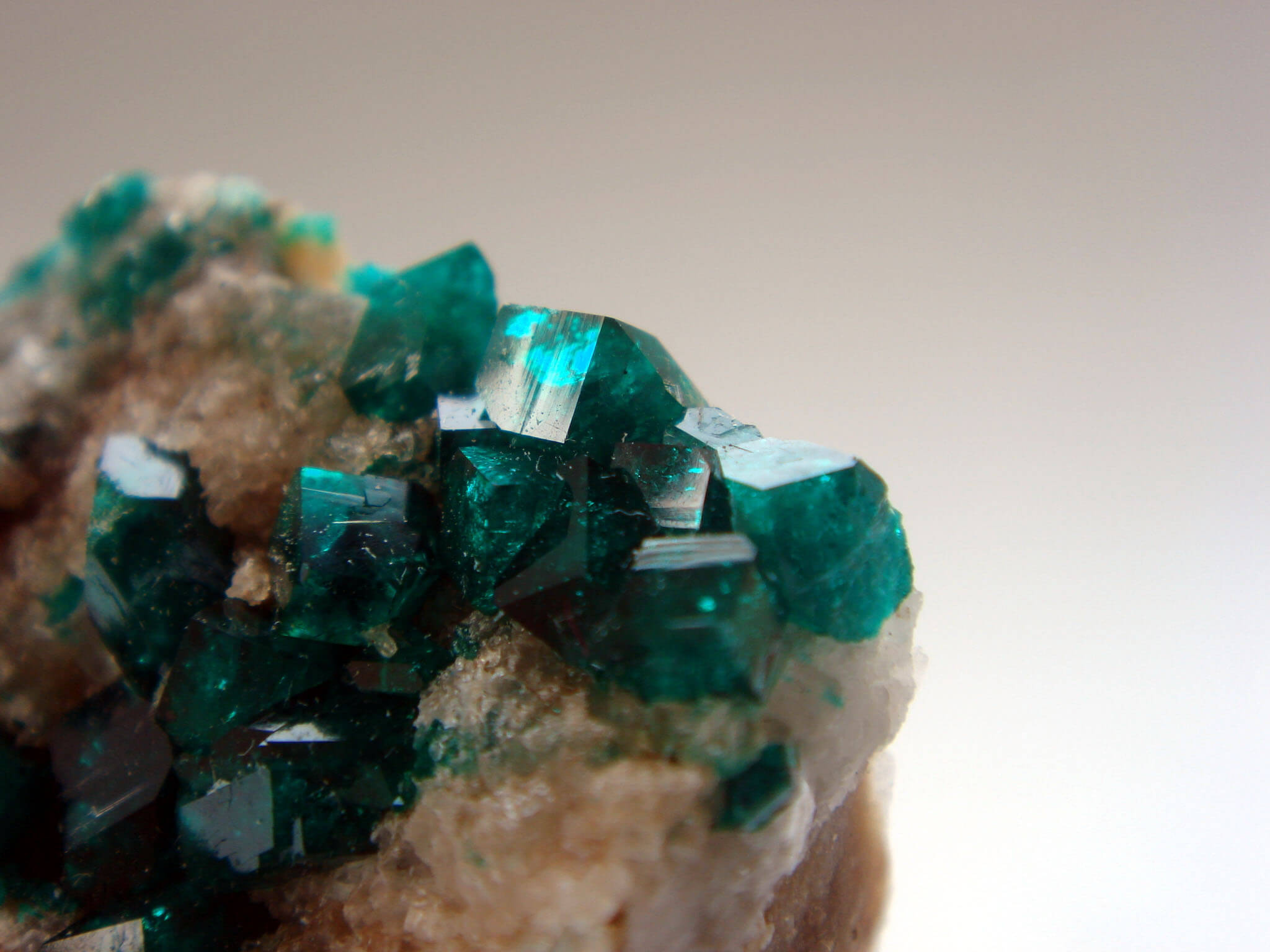 ダイオプテーズ